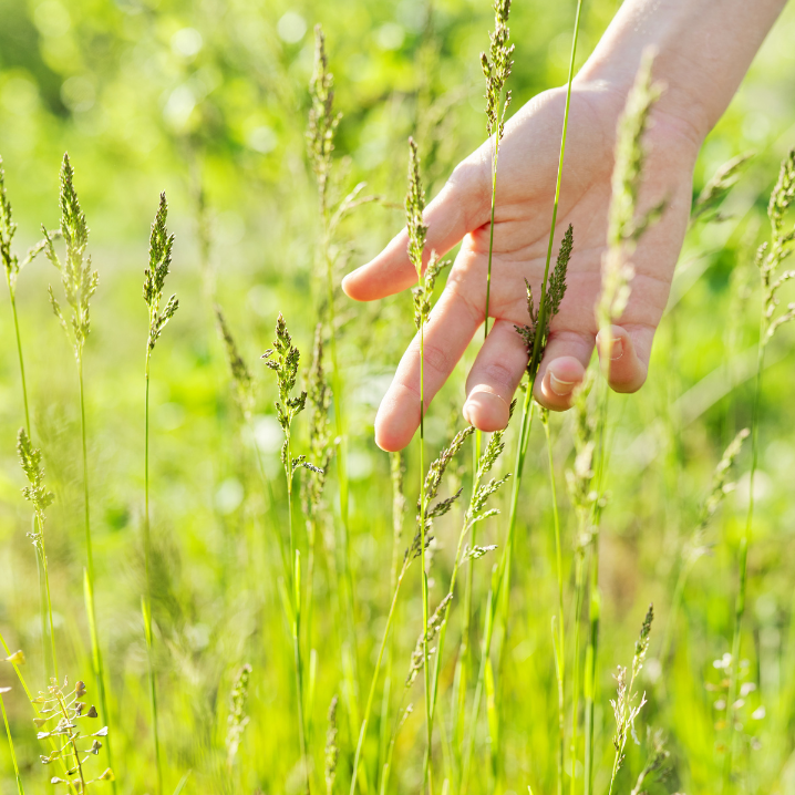 Time Line Therapy Treatment with Francesco Carco