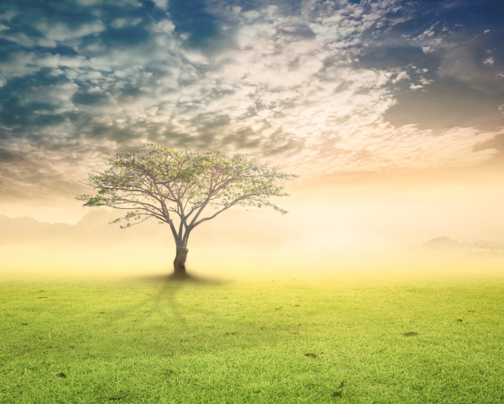 Why Oncologists Refer Patients for Trauma Therapy | Francesco Carco
